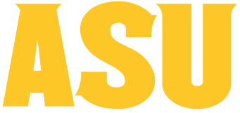 Arizona State Sun Devils 2011-Pres Wordmark Logo v6 DIY iron on transfer (heat transfer)